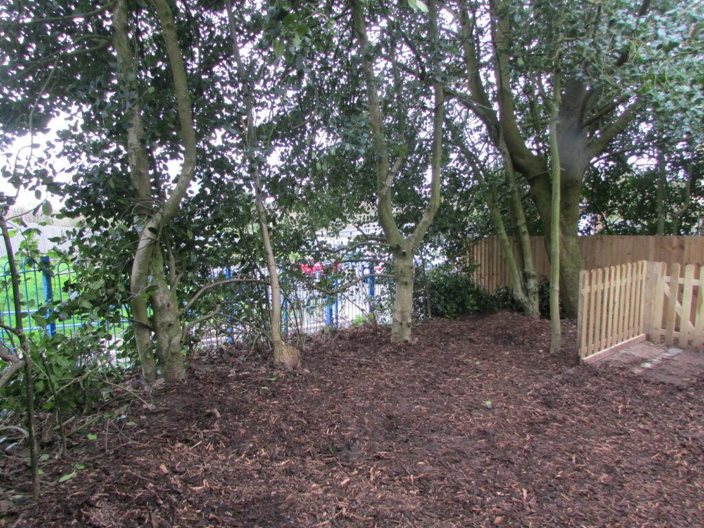 An 'after' photo of the Annie Lennard Primary School restoration project, showing landscaped trees, even layered ground and a wooden fence built.