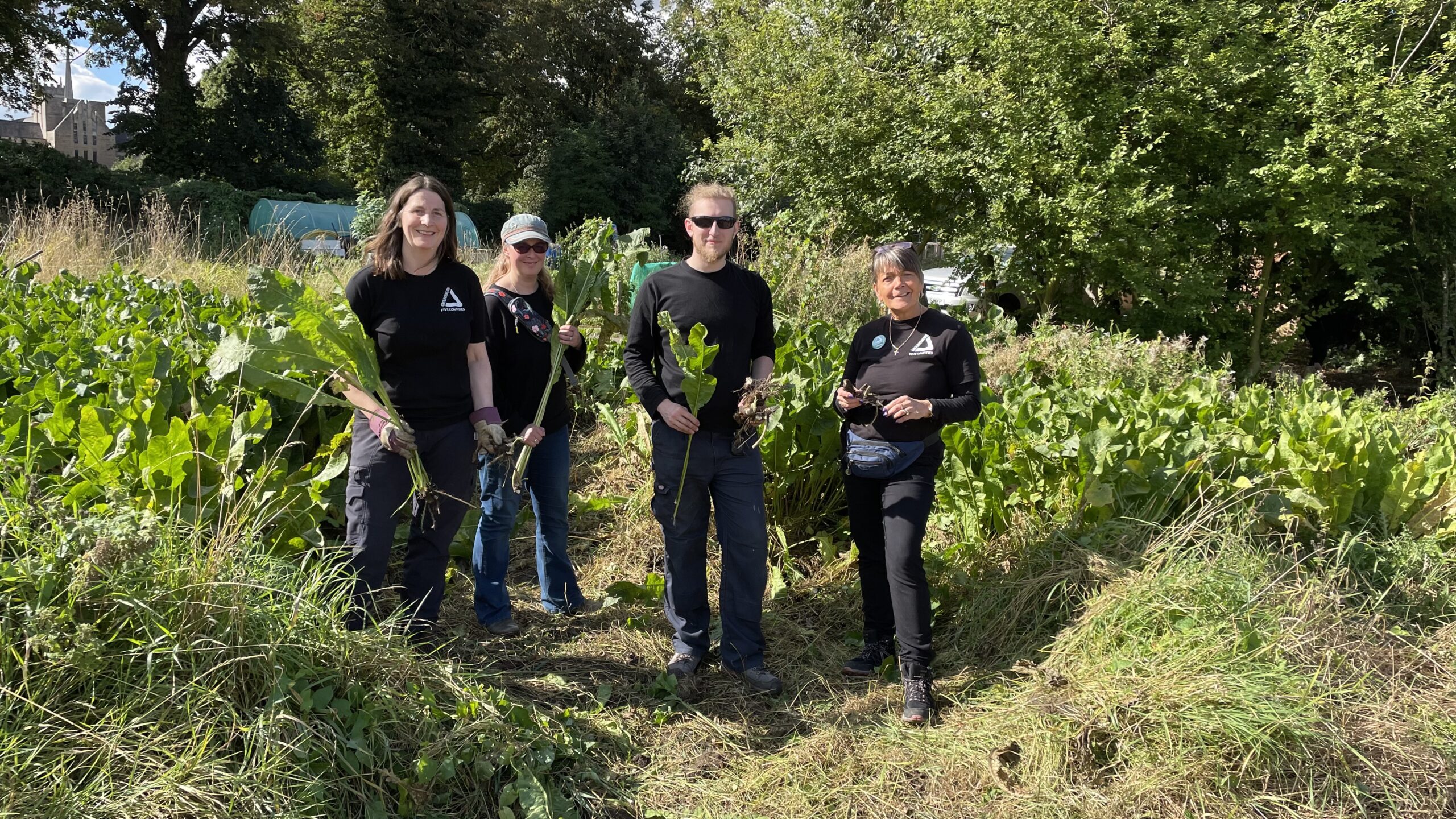 Group of people working outdoors, holding up horse radish.