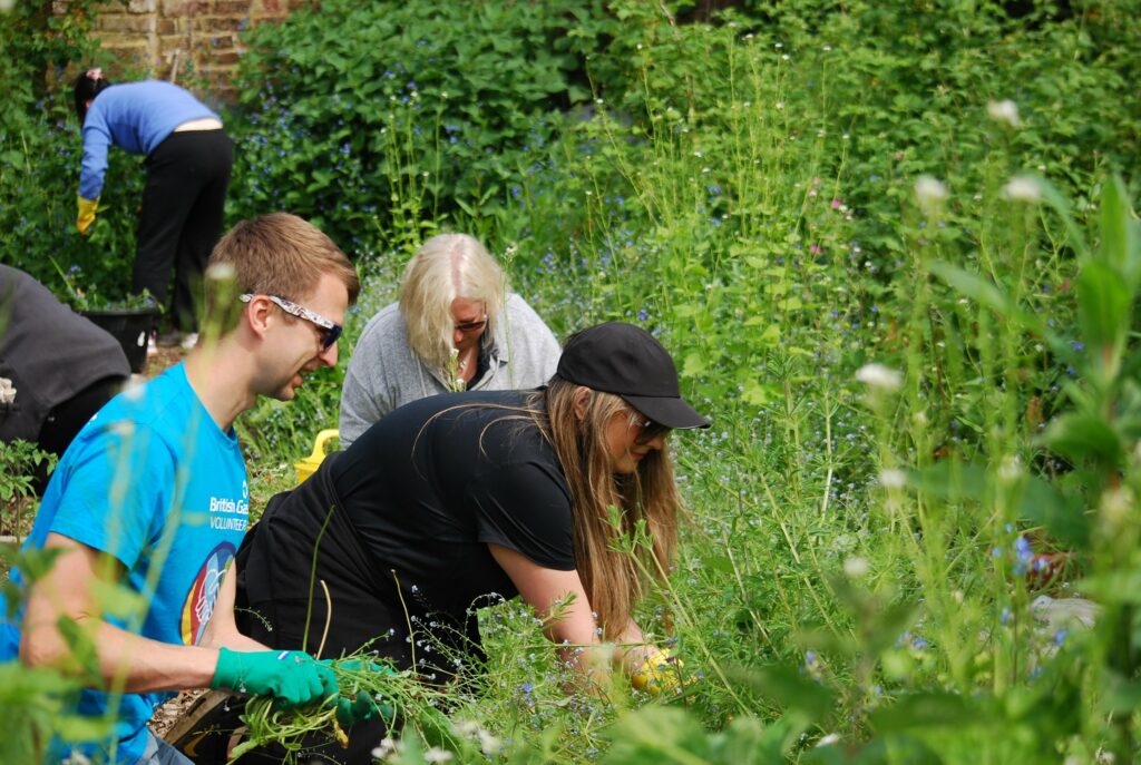 Centrica’s Responsible Business: Photo of people outside tending to the bushes.