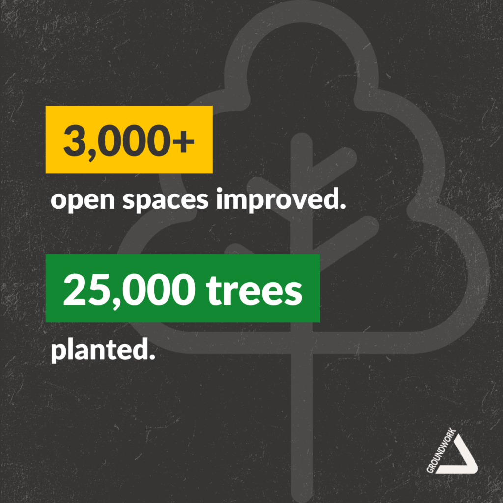 3000 open spaces improved.
25000 tree planted.