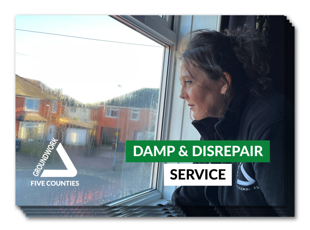 Stack of brochures with woman looking at condensed window. White Groundwork triangle logo and text "Damp & Disrepair service"