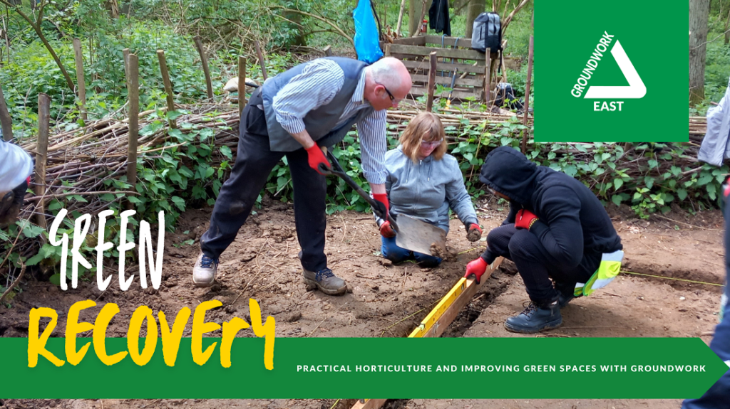 Green recovery project profile