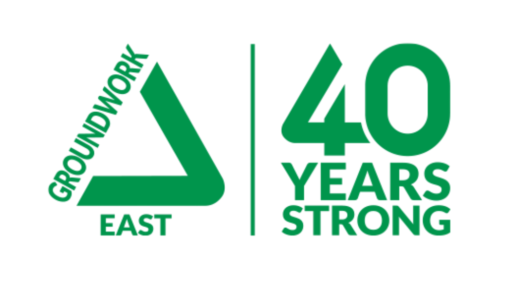 40 years logo
