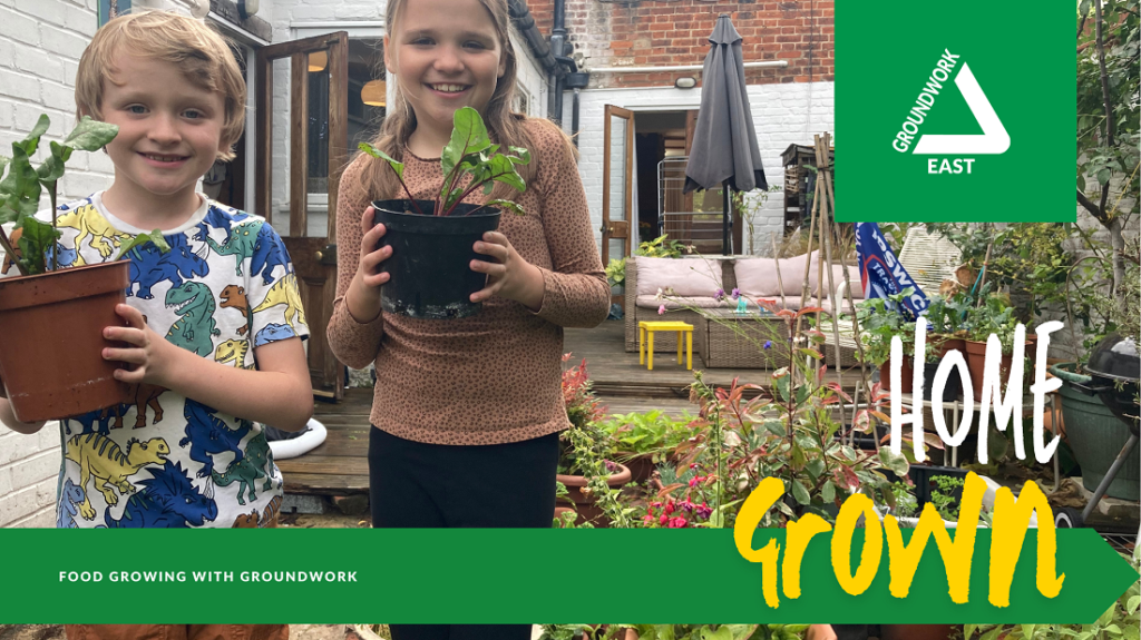 Home Grown project profile