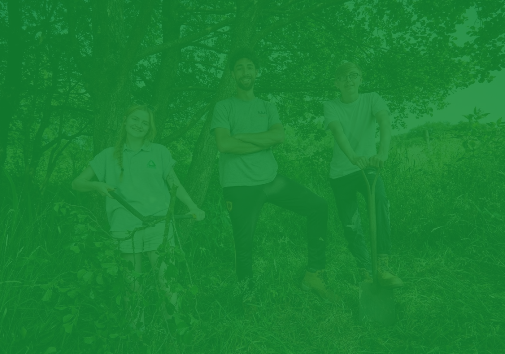 Hompage banner image
