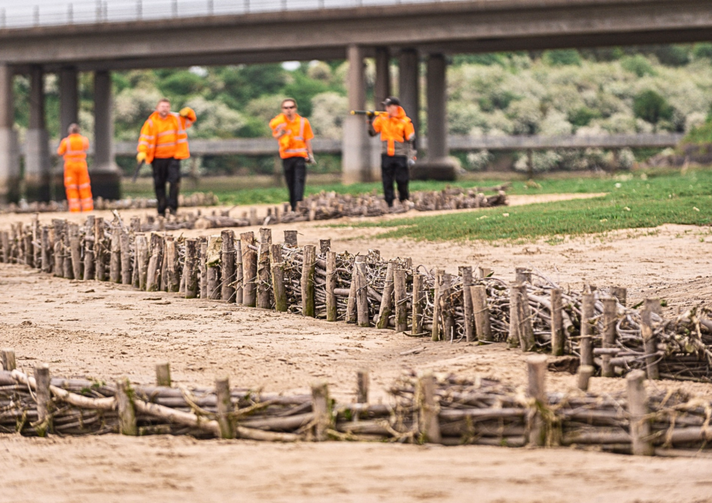 NORTH EAST And CUMBRIA - Picture of group of people working on an outdoor project